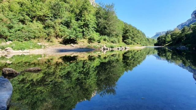 Reflections of the trees lining the Tarn