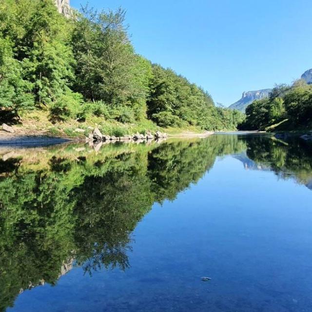 Reflejos de los árboles que bordean el Tarn