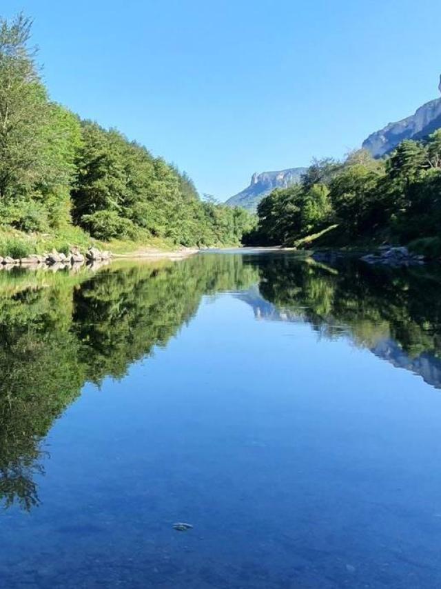 Reflections of the trees lining the Tarn