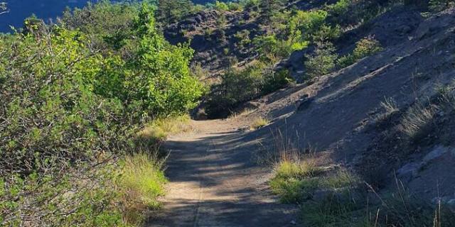 Linear Trail