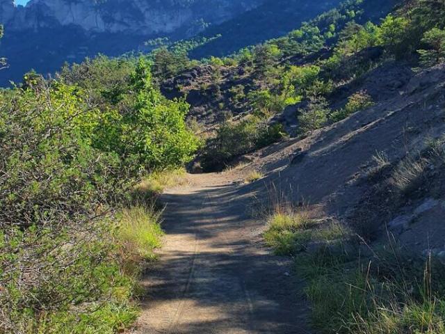 Sentier Lineaire 