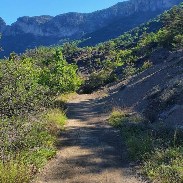 Linear Trail