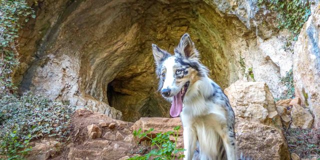 Grotte Du Hibou Adventure 2 Laetitia Raisin Robert