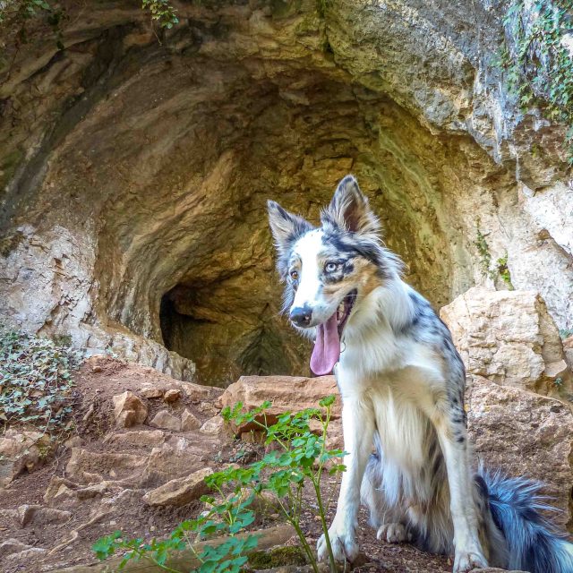 Grotte Du Hibou Aventura 2 Laetitia Raisin Robert