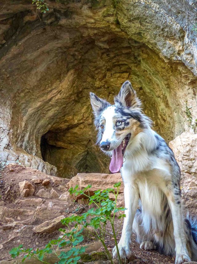 Grotte Du Hibou Adventure 2 Laetitia Raisin Robert