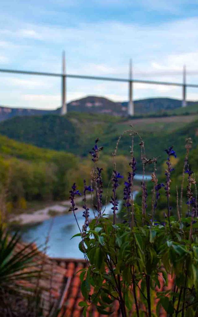 2022 November Walk and Gouter at Peyre Faustine Costes 1