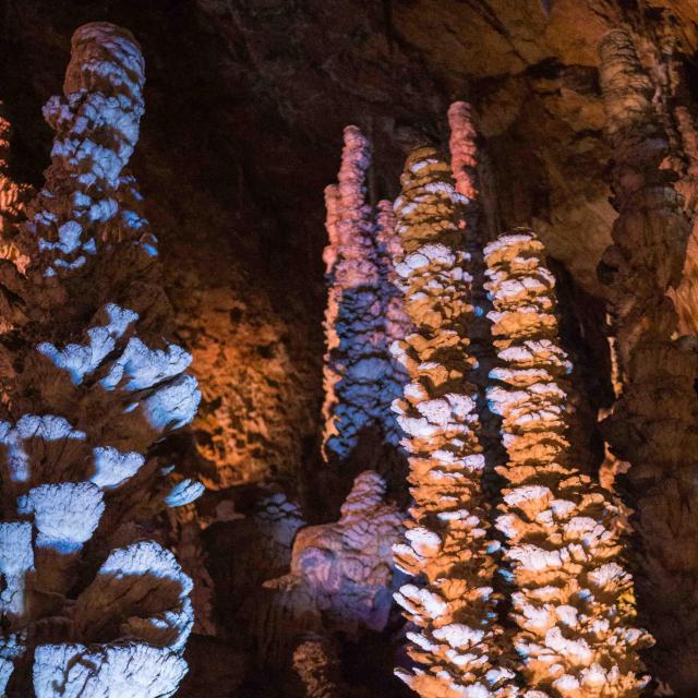 Aven Armand Sites De Visite Caves Around Millau 6