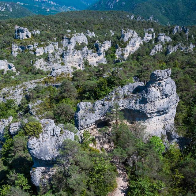 Cité De Pierres Vue Chaos De Montpellier Le Vieux 06 ©millau Grands Causses A. Humbert