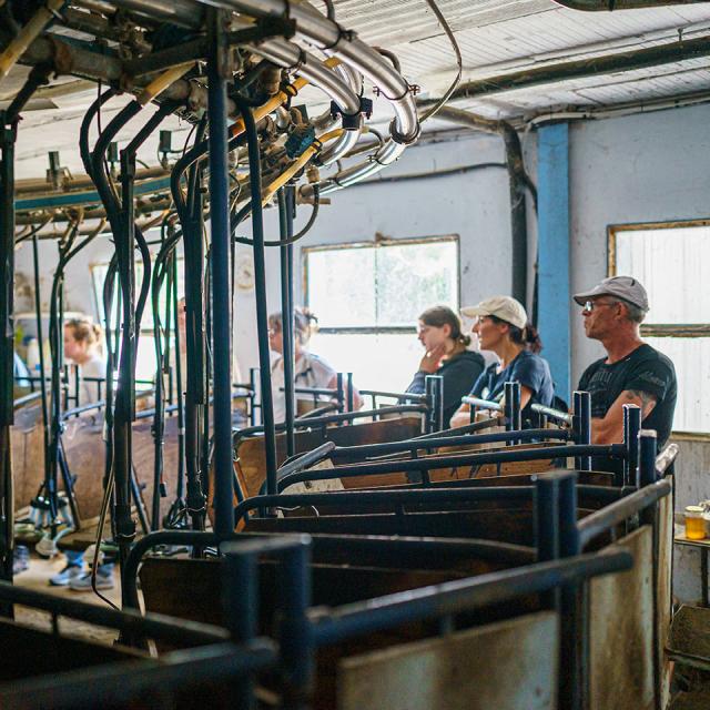 Excursie rond de schapen 45exodams