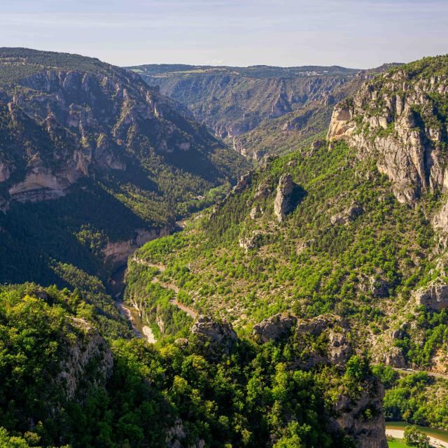 Gr736 Gorges Du Tarn 15 Exodams