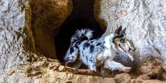 Grotte Du Hibou Adventure 5 Laetitia Raisin Robert