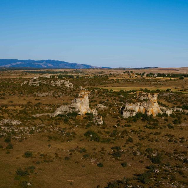 Nature Causse Cgrands Sites Midi Pyenees 30