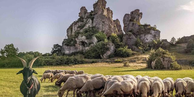 Sur Les Traces Du Berger Aventure 12 Roquesaltes Laetitia Raisin Robert