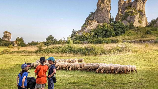 Sur Les Traces Du Berger Aventure 16 Roquesaltes Laetitia Raisin Robert