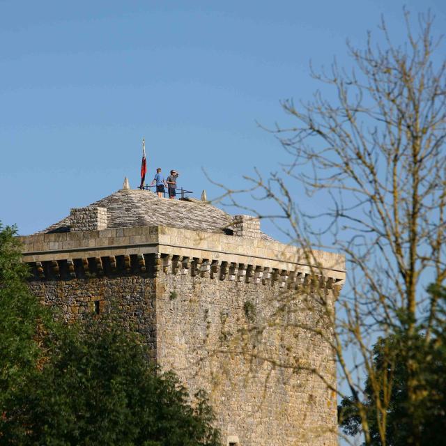 Tour Du Viala Du Pas De Jaux Ot Larzac Vallees Studio Martin