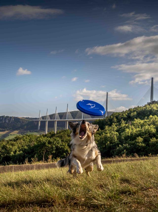 Viaduc Parcours Agility057alexhumbert