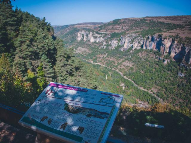 Vista Del Jonte Desde Dargilan 2ot Millau Grands Causses A. Humbert