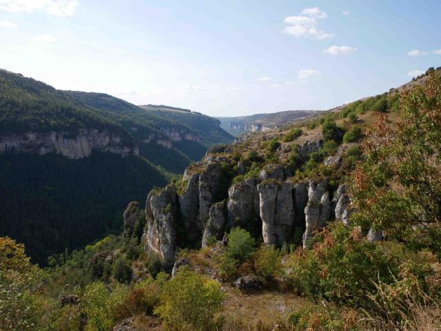 Vue Sur La Jonte Gorges De La Jonte 6 Alexandre Humbert