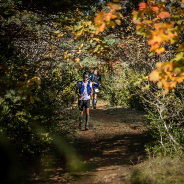 Festival Templiers 2023 27 Shootin Factory Greg Alric