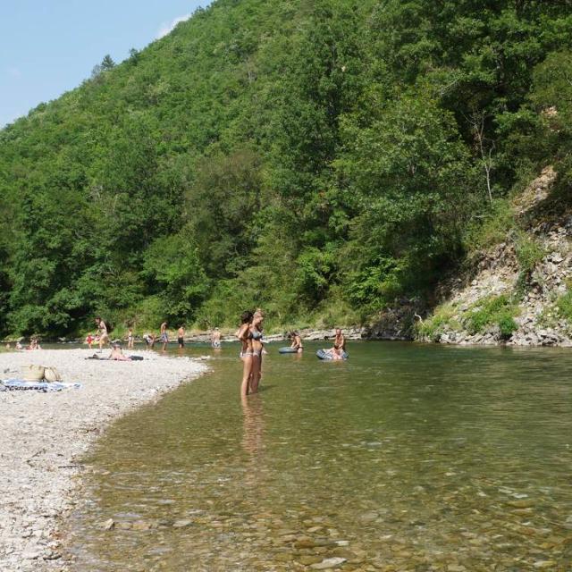 Bathing Dourbie