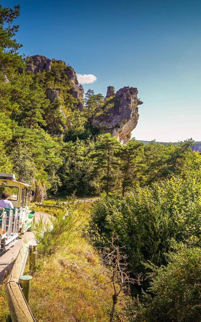 Cite De Pierres Train