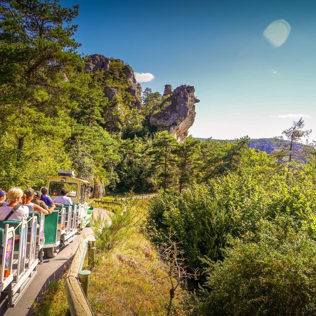 Cite De Pierres Train