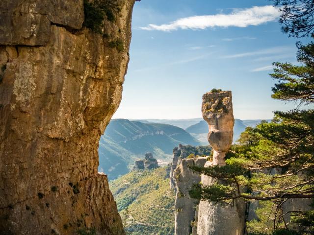 Gorges Du Tarn Les Vasesexodams