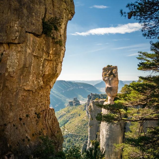 Gargantas del Tarn Les Vasesexodams