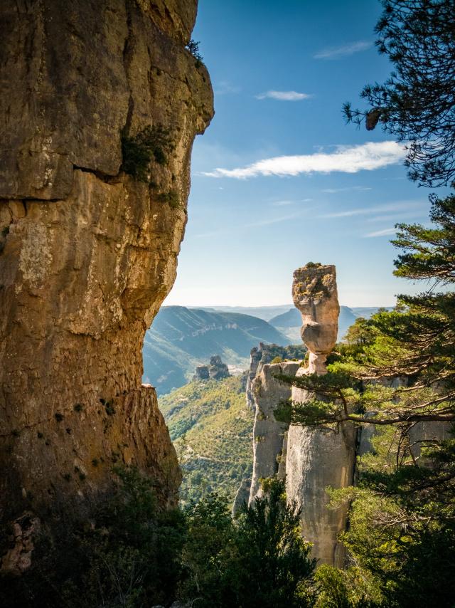 Gorges Du Tarn Les Vasesexodams