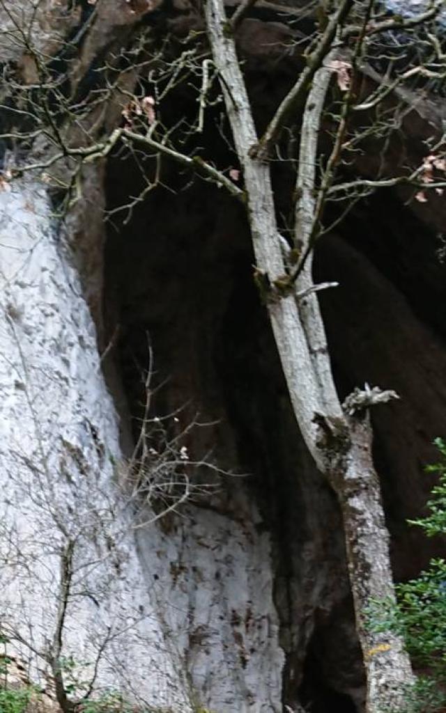 Grotte Duhibou Millau13