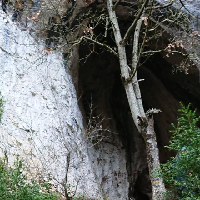 Grotte Duhibou Millau13