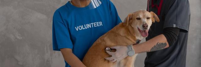 Neem je hond mee naar Millau Kynologisch Professionals