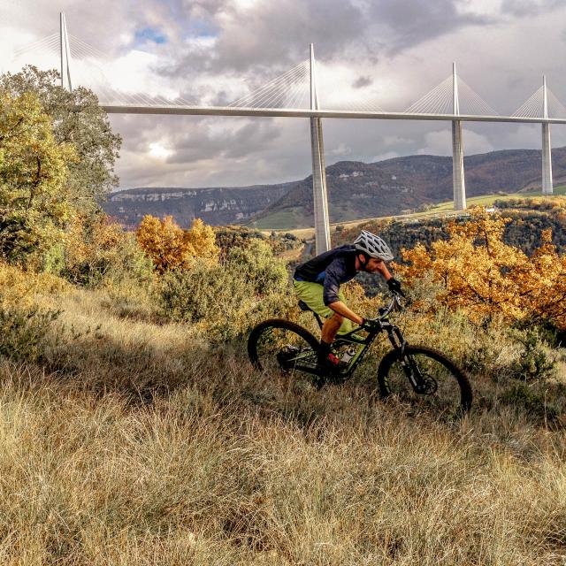 Greg Noce MTB Viaduct