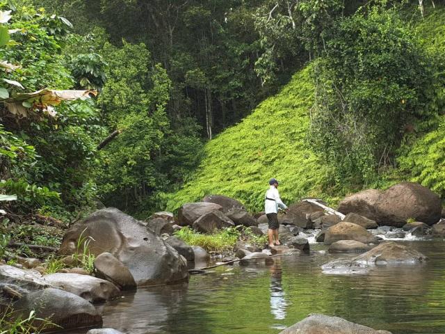 Peche En Guadeloupe04cscarnafishing