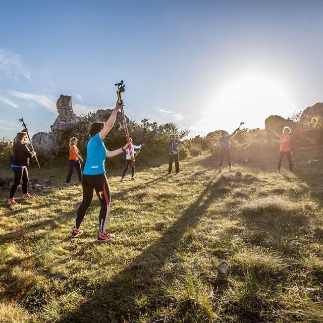 Bungy Pomp Wellness en Fitness Oplossing Sport