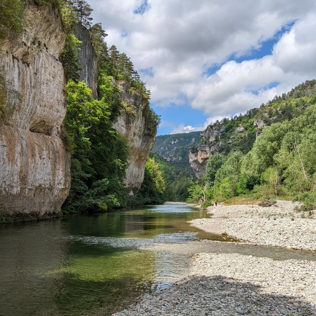 Apn Baignade Riviere Tarn Pauline Printz