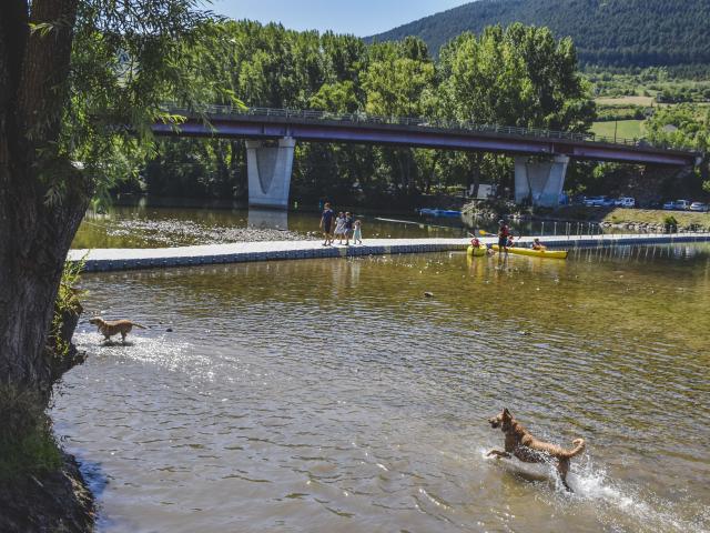 Emmene Ton Chien A Millau 13 Gdbot Millau Grands Causses A.humbert