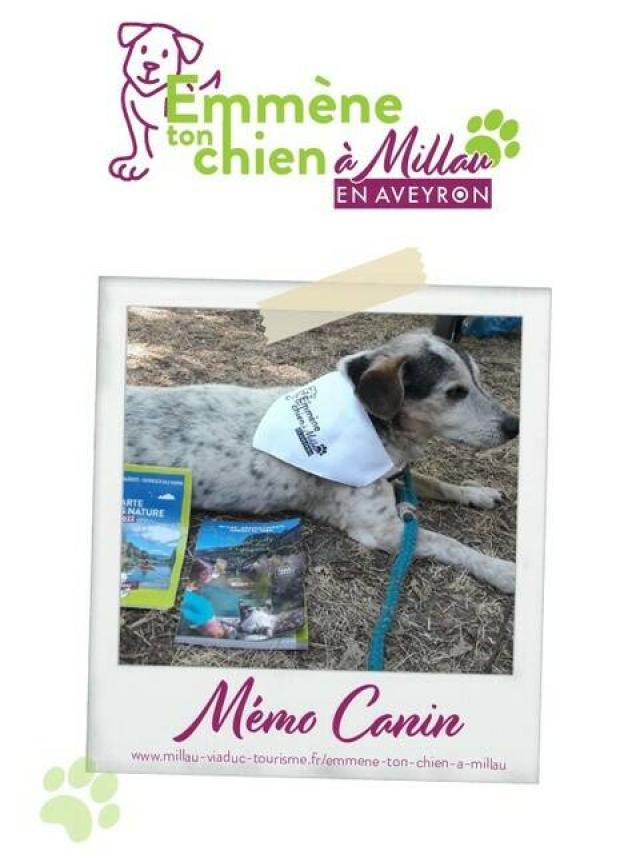 Emmene Ton Chien A Millau Memo Canin 2023