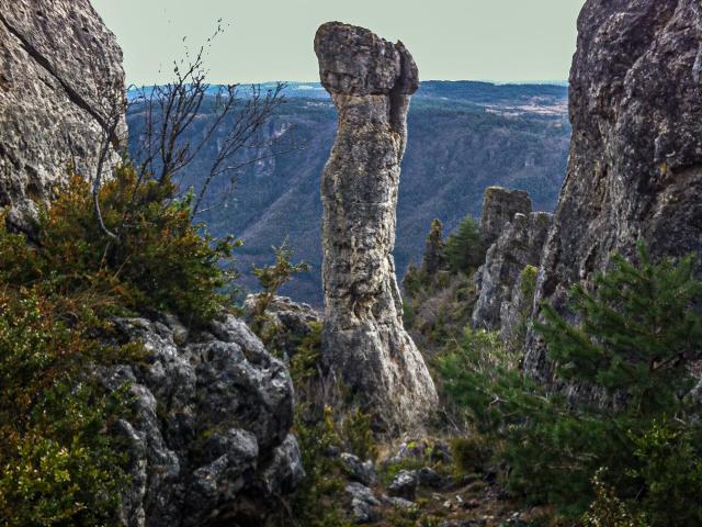 Grands Causses Espace Trail Chasse Aux Tresors 2 Greg Alric