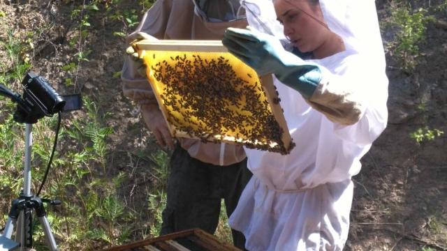 Ontmoetingsdag voor Bondia honingproducenten