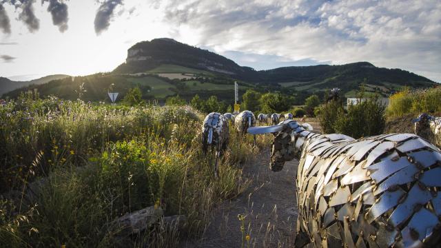 Roquefort Lauras Rond Punt Steloweb 36 Min