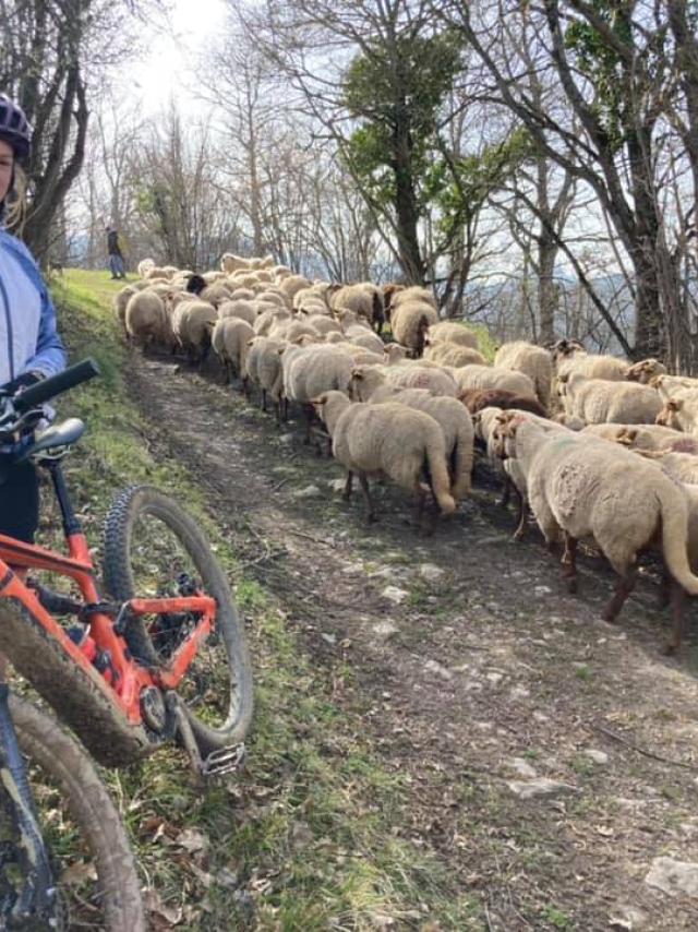 Sejour Plein Les Yeux Au Pays Du Roquefort 4