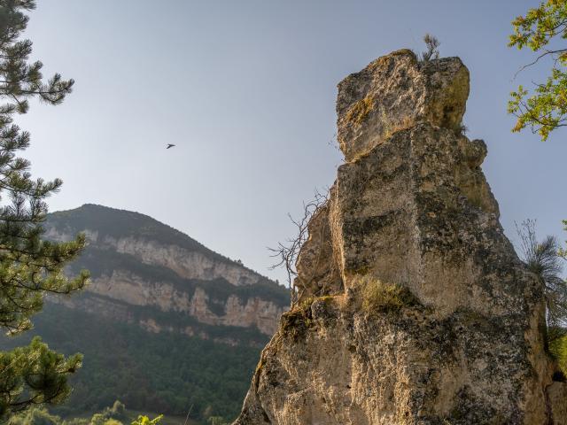 Sentier Des Cascades De Creissels Alexandre Humbert Min 5