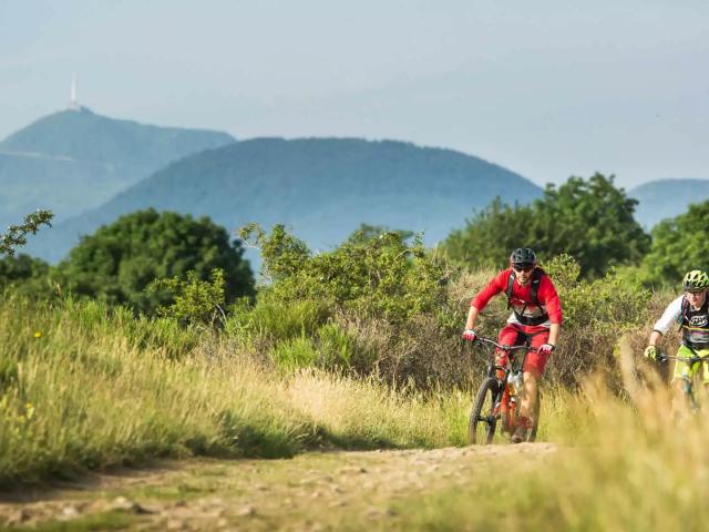 Vtt Puy De Domegtmc