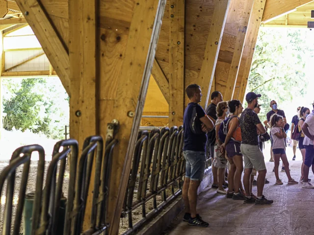 Visite Ferme Du Frayssinet 24