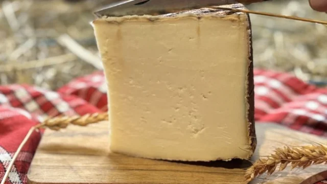 Aqui Ba Pla Rougier Tomme Du Rougier