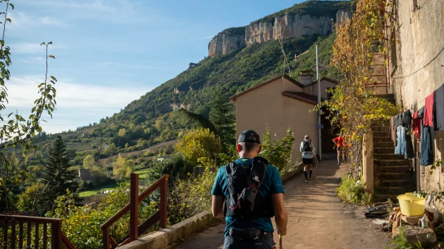 Templiers 2024 Enzoplanes 185