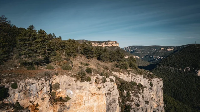 Templiers 2024 Enzoplanes 224