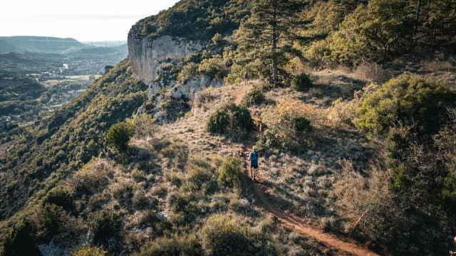 Templiers 2024 Enzoplanes 227