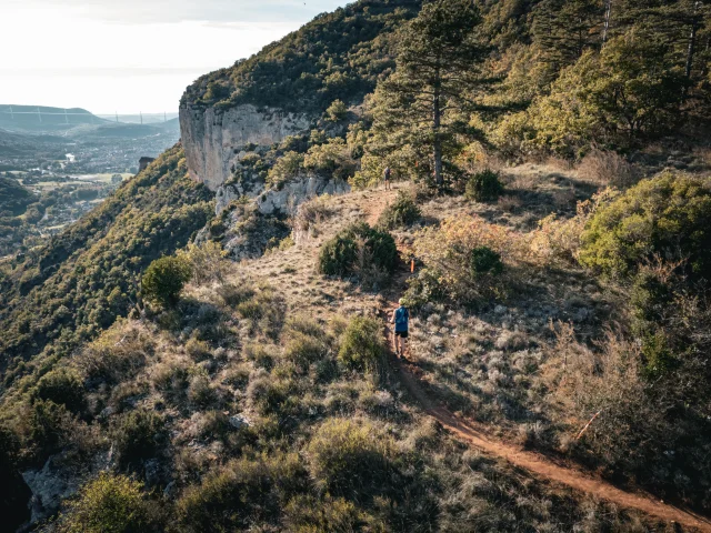 Templiers 2024 Enzoplanes 227